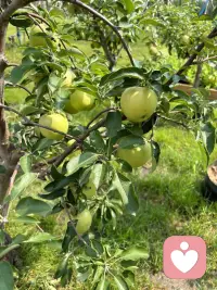 我們每一個人都是獨一無二的，不需要和任何人比較。配圖