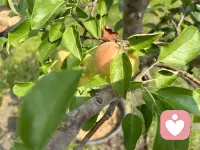 請接納自己的感受，你不必因?yàn)樽约旱那榫w反應(yīng)感到內(nèi)疚和不安。配圖