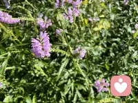 心理咨詢會提供給來訪者一個接納和支持的環(huán)境，促進個體自然而然地成長和自我實現(xiàn)。配圖