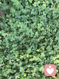 有些問題在短期內是解決不了，所以不要關注問題，而是關注我們內心的體驗、感受、想法，嘗試改變視角。從一定程度上忽略問題，帶著問題繼續生活，想一想我們自己可以發生什么改變，從而能過得更好。配圖