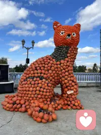 情緒只要流淌、只要被看見就好了。配圖