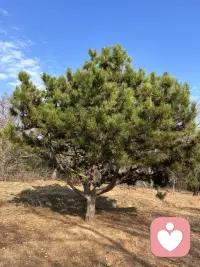 在我們的家庭中，孩子有的時(shí)候會(huì)代替父母做一些潛意識(shí)的事情，看起來(lái)和我們平時(shí)的表現(xiàn)完全相反，卻直接呈現(xiàn)了我們想要壓抑或者不愿意呈現(xiàn)的東西。配圖