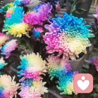 我們可以常常對孩子說這幾句話：“我愛你”、“我支持你”、“你做得很棒”、“你是獨一無二的”、“我相信你，我站在你這邊”、“不用怕，我陪你一起解決”、“沒關系，你可以拒絕”、“別人的評判無法定義你的好壞”、“你失敗了，我也愛你”……，給予他們勇氣、包容、鼓勵和支持。配圖