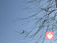 心理問題是關系的問題，尤其可能的是跟母親的關系問題。配圖