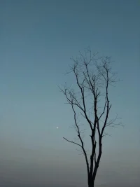 只有咨詢師把真實哀怒等負面情緒，以不付諸行動，而是心智化的方式反饋給來訪，來訪才能意識到過往的人際經歷中，自己有很多認知上的盲區，也曾給別人帶來傷害。
只是在那些人際里，沒有獲得積極正向的反饋。
所以在來訪的主觀意識里，自己是個受害者。
那個受害者，是他們假想出來，并非真實的存在。
由于反饋機制過于匱乏，他們就真以為自己不斷被世界傷害。配圖