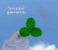 和你一同笑過的人，你可能把他忘掉，但是和你一同哭過的人，你卻永遠不忘。配圖