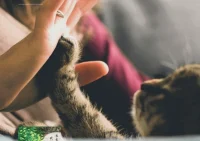 請不要從別人的嘴里認識我～

人與人之間相處最怕的是

你不相信你看到的我

卻相信別人口中的我配圖