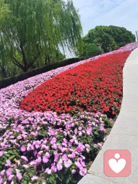 很?人多?總想?愈療?好一切，準備好一切，
再?始開?行動

做事?的情?時候，難?會免?出現，
各?各種?樣的?緒情?感受，和意?狀外?況

然而，你?是才?你生命的主人，
而?創非?傷情?和緒?感受

你?對有?你生活中這一切，
說?算了?的能力！！！

你?以可?帶著恐懼，去前行，去行動，
去做，去破

唯?這有?樣，你才?真能?正將你所?的有?力量，
拿回來

活?你出?自己想?的要?人生！配圖