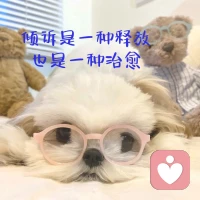 沒有什么，比生命的綻放，更讓人感動的
你看到，一張又一張，
緊縮的，恐懼的，焦慮的，疲累的臉

慢慢地開始舒展，也開始伸展，
最后不在乎外面的一切
所謂的好的，不好的評判，開始盡興的，酣暢淋漓地做自己

去享受快樂，幸福，喜悅，心中涌出止不住的喜悅，
臉龐點亮如充滿陽光

所有的僵化，恐懼，緊張都不見了，開始成為，生命
本來的樣子，那一刻，好感動

感動這個生命，有機會，做自己的生命，感動終于開始，奔向幸福和喜悅

這，也是心靈工作者的幸福啊，總會碰到你柔軟的部分，讓你只是為這個生命，驕傲又欣喜配圖