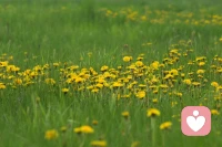 想要表達自己的需要，卻被說“別鬧了”；
想盡情哭一場，卻有人勸你“應(yīng)該堅強”；
想守住自己的立場，可又怕破壞了關(guān)系……

后來，我們都
義無反顧地選擇了——自我消化
 
于是，
我們在快樂的時候，不敢快樂；
悲傷的時候，自己躲起來偷偷哭；
憤怒的時候，就更是不斷地攻擊自己……
 
可是，“忍忍”并不會讓我們變好啊

在心理學(xué)上講，【人不應(yīng)該受委屈的】
因為你一旦受委屈，你的身心都會付出很大的代價配圖