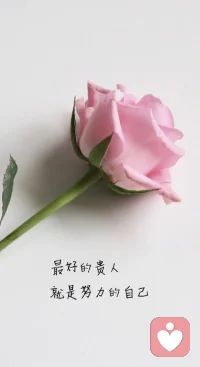 我們總以為分享可以帶來快樂，可以讓別人更了解我們。
但事實上，不是每個人都值得我們去分享。

真正懂你的人，不需要你過多地解釋，他們就能感受到你的喜悅和悲傷。

而那些不懂你的人，即使你把心掏出來給他們看，他們也覺得無所謂，甚至還會傷害你。
?#每日發圈 #心理賦能配圖