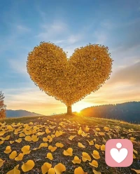 期待與你，捕捉每一縷思緒, 書寫心間的溫柔篇章，我在線接單啦…??????配圖