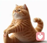 90%的疾病都與情緒有關

根據世界衛生組織統計，90%以上的疾病
都與負面情緒有關，從數據來看 目前與情緒有關的疾病已達200多種

負面情緒包括緊張、生氣、恐懼、悲傷、害怕……

每一種負面情緒都會對我們的身體產生影響

心理咨詢的作用就是帶你去看見，那個負面情緒，背后的根源配圖