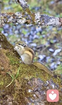 治愈童年?好最?的良藥是“愛自己”

匱乏的人會不?向斷?外求，把希望寄托到別?身人?上

愛自己，就是?納接?自己，滿?自足?己，重視自己?感的?受，照顧自?的己?情緒， 停止?定否?自己，

心情?好不?不要去?責苛?自己，而?去是?做點什么，讓自?更己?好
?配圖