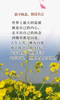 放下！