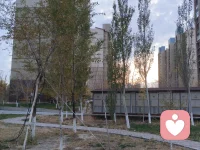 成年人，你需要一點比欲望更高級的東西。
給生活做減法，給思想做加法。低級的欲望，放縱就能得到；高級的欲望，克制才會獲得；頂級的欲望，需要煎熬。
在這個過程中，你會發現，保護自己是唯一生存條件，就像小雞叼了蟲子就跑，本事不大，脾氣就不要太大，否則你會很麻煩。能力不大，欲望就不要太大，否則你會很痛苦。
誰最智慧?是以人人為師的人。誰最富有?是對自己所擁有的感到滿足的人。誰最強大?是善于克制自己的人。可悲的是明明知道答案，卻不做選擇的人。配圖