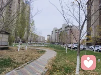 初中生遭遇校園欺凌怎么辦?從內因尋找突破，重構你的社交模式你是不是覺得自己與眾不同?思維敏捷，見解獨特，但總覺得融不進班級的氛圍?這種格格不入的感覺，往往是校園欺凌的潛在導火索。其實，高認知帶來的優越感會在不經意間形成一道無形的墻。當我們習慣性地用俯視的角度看待他人，即使表現禮貌，內心的距離感也會被他人敏銳捕捉到，這往往是矛盾的起因。神經科學研究表明，人際關系中的鏡像神經元會讓我們下意識模仿和靠近彼此認同的對象。當我們帶著思想的優越感與人交往時，這種自然的社交連接就被切斷了，甚至產生對立和排斥。改變從觀念開始：試著放下我比別人聰明的想法,用平視的目光重新認識周圍的人。在與同學互動時，你可以嘗試這樣做：真誠贊美他人的優點(也許他就那一個優點)主動參與集體活動(或許你并不喜歡這項活動)學會用他人能接受的方式表達(換位思考可以提升你的觀察力思維認知)培養共同話題和興趣(有助于培養你的情商人際交往能力)當然，這不是要你否定自己的特質,而是學會在保持個性的同時，建立起與他人的情感連接。當你能發自內心地欣賞他人時，那道無形的墻自然會消失。配圖