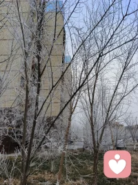 當我們接受一切，接受一切如其所是，我們就成空了，這種接受是一種愛的移動。配圖