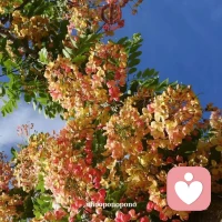 美国思想家艾默生说：“孩子最终会成为什么样的人，主要取决于他从第一个教育者那里所接受的爱的质量、陪伴与榜样的力量。”作为父母，千万不要小看自己平日里的一言一行。那些脱口而出的打压、习惯性的控制、缺席已久的陪伴……最开始，你或许只会觉得孩子变得比往常沉默了一些。但日复一日，积累成灾。配图