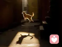 别人的生活只是故事，自己的生活才是日子。从小到大，我们被教育要听话、要优秀，要努力学习，要按照别人对“成功”的定义去走。于是，我们读书、工作、结婚、生子，跟着他人的节奏一步一步前进。可是，就在某个时刻，你忽然发现，这条路好像不属于你，心里始终有种无法言说的疲惫和迷茫。其实，很多人的迷茫和彷徨、困惑和焦虑，来源于长时间的自我压抑、自我放弃，活在别人的口中，活在别人的期待里，迷失了自己的声音，迷失了自己的心灵。如果一直这样下去，真正的快乐会离我们越来越远，我们离我们的心灵也会越来越远。其实每个人都活在自己生命的时区里，每个人都有自己的成功时间表，有人早早成功，有人晚点绽放，但这并不重要。后半生，别再为别人而活，听从内心的召唤，释放内心的激情，去走属于自己的路。配图