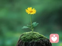 不必太纠结于当下，也不必太忧虑未来，当你经历过一些事情的时候，眼前的风景已经和从前不一样了！配图