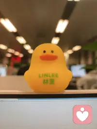 主管请的饮料配图