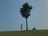 明智的放下，遠勝于盲目的執著。配圖