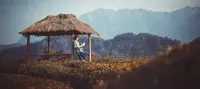 人生無常，放下一味利己的心思，施惠于人，也圓滿自己。配圖