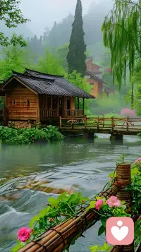 “不要為過去的時間嘆息！我們在人生的道路上，最好的辦法是向前看，不要回頭。” —— 羅曼·羅蘭配圖