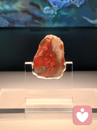 其实，没有什么东西是不能放手的。时日渐远，当你回望，你会发现，曾经以为不可割舍的，只是生命的一块跳板。配图