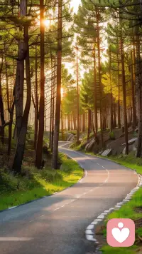 父母的责任不仅是提供物质上的支持，更是要保护孩子的能量场，让他们在一个安全、稳定的环境中成长。