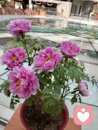 一个人的自愈能力越强，才越有可能接近幸福。自我修复的勇气，比外界安慰更持久。