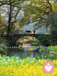 好话、坏话同一人说，成年人，只听对自己有用的部分就好。配图