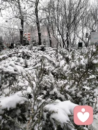 当身心疲惫时，焦虑抵触的情绪会油然而生，这是身体发出的警告。此时不妨停下脚步，学会放手，也许不一样的风景会映入眼帘。