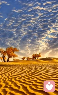 一位来访者说，当年为了满足世俗的眼光进入体制内，过起了自己能一眼看到头的无聊生活，怀疑起当初的选择是否正确。人的一生精彩与平淡如何来选择？配图