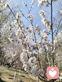 孩子不听话，家长感到很焦虑。其实，孩子不是不听话，他们只是在用自己的方式探索世界。有时候，我们需要做的不是纠正，而是陪伴。配图