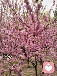 我们现在的困境，不是因为我们不够好，而是因为我们对自己要求太高了，所以请给自己一些肯定和鼓励。配图