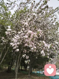 在发夫妻关系里，付出是自愿的，而不是筹码。当我们停止计算谁付出更多时，爱才会流动起来。