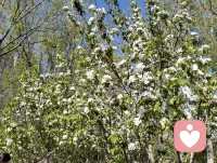 当夫妻遇到问题和矛盾时，我们要学会理性沟通，明确表达各自的想法和需求，只有这样才能化解误会，找到问题的症结所在。