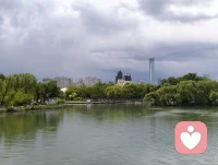 人间本就喧嚣纷扰，安静做好自己，不纠缠、不执念、不勉强。配图