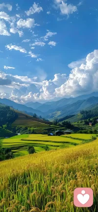 争吵从来不是感情的终点，沉默与疏离才是。愿意低头沟通，愿意放下执念包容，才是一段关系长久走下去的底气。配图