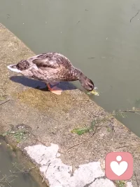 两个人相处，不必事事争对错，赢了道理输了真心，是婚姻里最得不偿失的事。温柔让步，才是最高级的相处智慧。