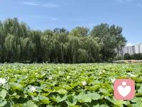 养育孩子，本质是一场温柔的目送，我们教会他独立与勇敢，不是为了把他困在身边，而是让他有能力奔赴属于自己的广阔天地。
