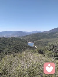 学会和情绪共处，难过不必硬撑，疲惫不必伪装。允许自己偶尔脆弱，然后整理心情重新出发，温柔且坚定地走完往后人生路。​配图