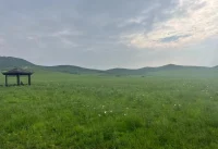 不经历困难的人生不完整，迎难而上从来都是最有力量的选择。配图