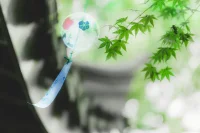 生活的苦與樂總在更迭，沒有誰的命運(yùn)是完美的，有時殘缺也是一種美?？鞓肥蔷A，能讓我們信心十足；痛苦是良藥，能讓我們頑強(qiáng)支撐。
別苛求自己。放寬心，讓它包容傷害和痛苦。心寬了，煩惱自然就少了，日子自然就順了，人生也就圓融自在了。配圖