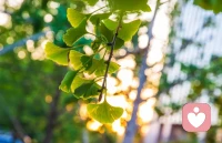 對過去的事不糾纏，對未來的事不多慮，方能走好人生之路。人生亦是如此，真正讓人沉重的，從不是繁重的工作和瑣碎的生活，而是自己的精神內耗。停止內耗，心才能不累。配圖