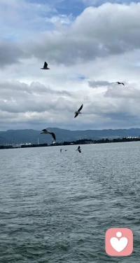 一個人只要足夠優秀，才會無懼風雨，你所期待的，也會如期而至。配圖