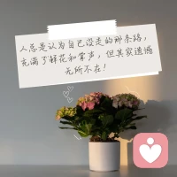 沒有人能讓你不快樂，除了你自己

沒有人能強(qiáng)迫你做任何事情，除了你自己

所有的限制條條框框，都是你自己給自己的

外面沒有別人，只有你自己呀，能困住你的，也只有你自己！配圖