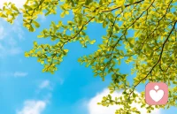 人生的路，自己去書寫，你不能左右天氣，但可以改變心情，學會適應，讓你的環境變得明亮；學會調節，讓你的心情不再憂傷；學會寬容，讓你的生活沒有煩惱；學會奉獻，讓你的生活充滿陽光！配圖